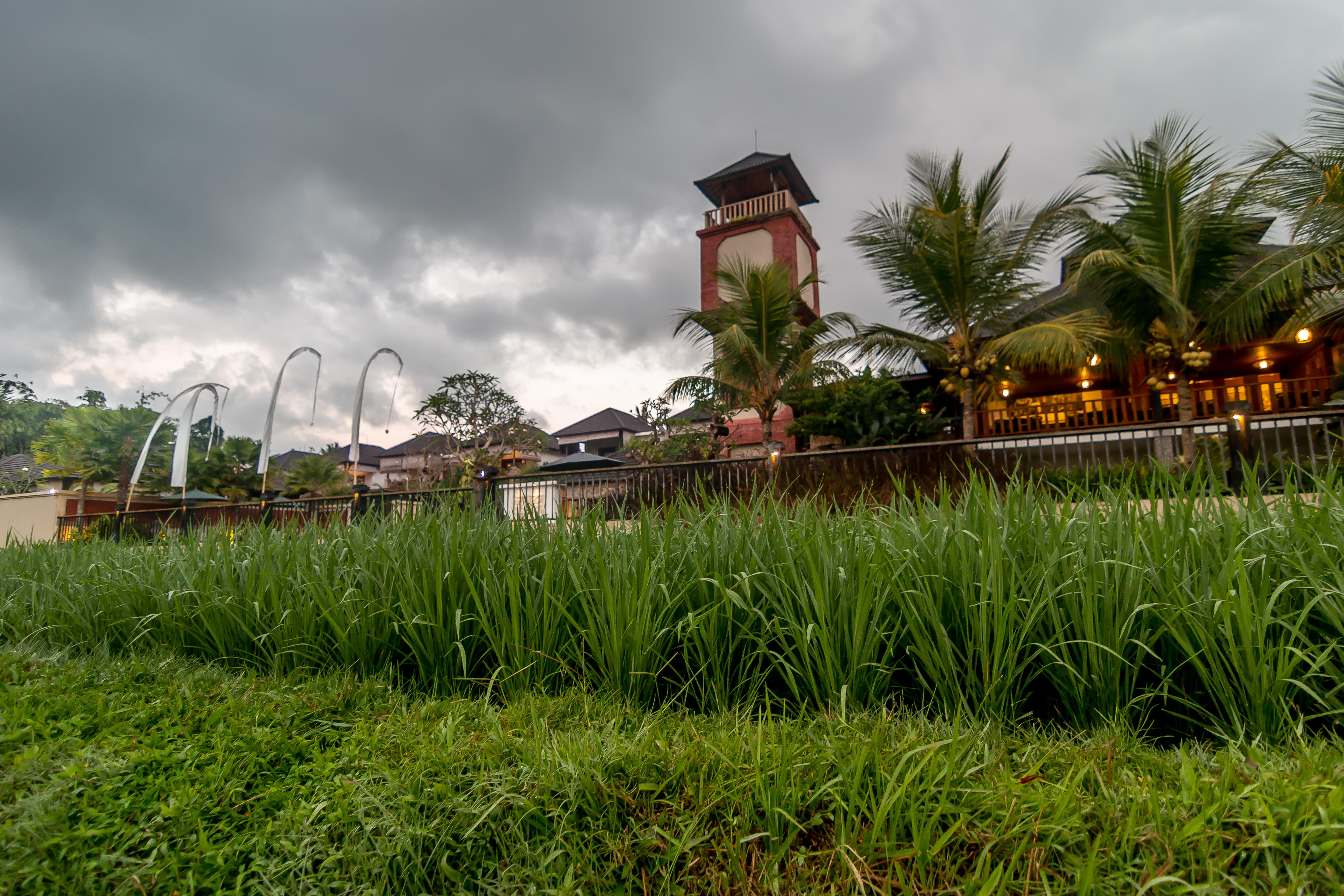 Onje Resort And Villas Ubud Exterior foto